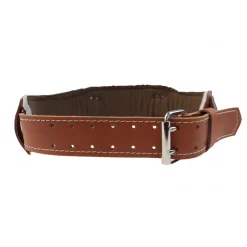 4'' Back Belt