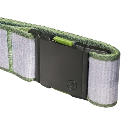 Carto Belt