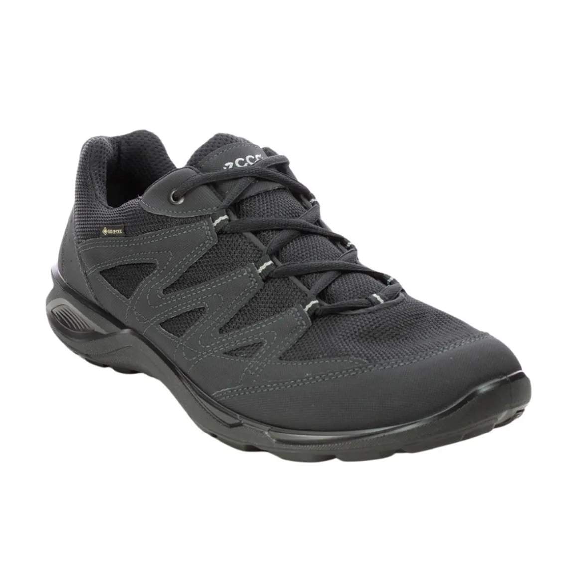 Men’s Ecco Terracruise Lt GTX Shoes