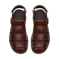 Men's Guideview Cove Sandals