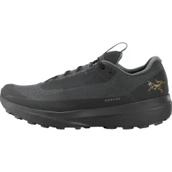 Men's Norvan LD 4 GTX Shoes