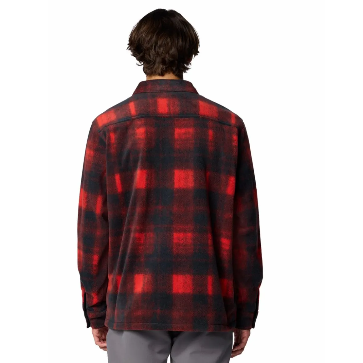 Men's Steens Mountain II Printed Jacket