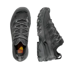 Men's Ultra Raptor 3 Shoes